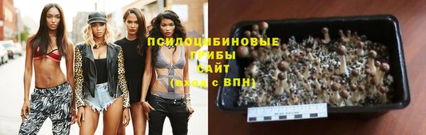 круглые Арсеньев