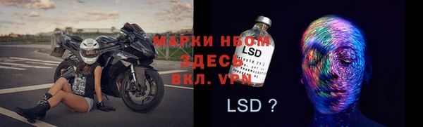 хмурый Ессентукская