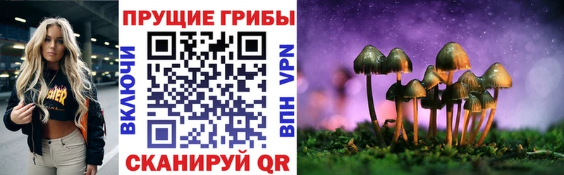 hydra ТОР  Бавлы  Галлюциногенные грибы мухоморы 